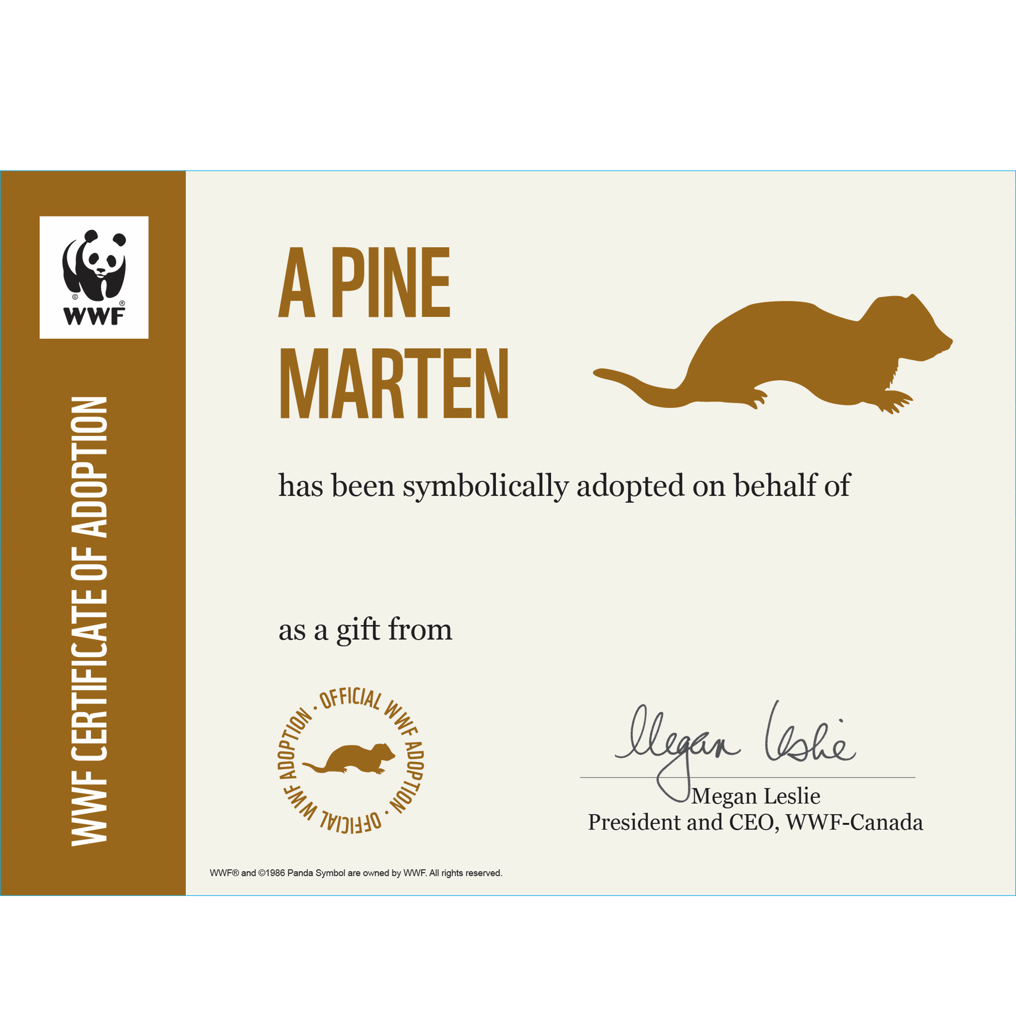 Pine marten adoption card - WWF-Canada