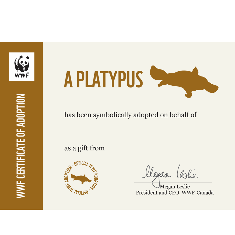 Platypus adoption certificate