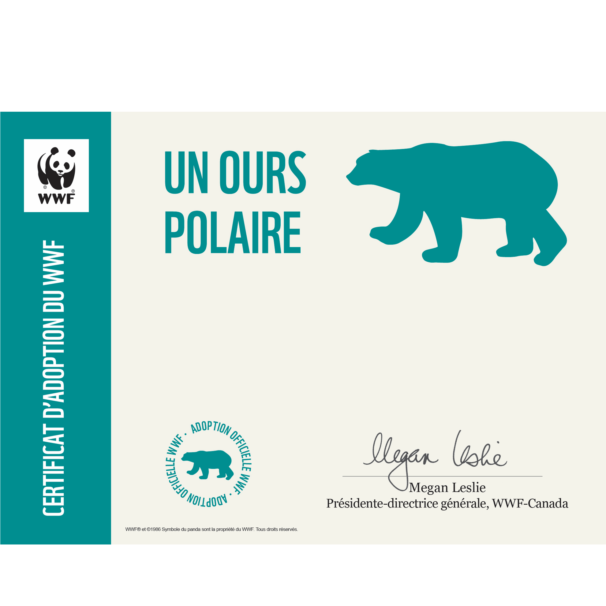 Carte ours polaire