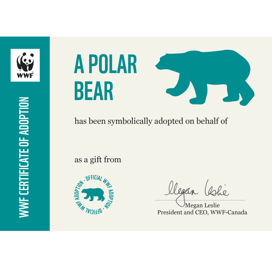Polar bear adoption certificate