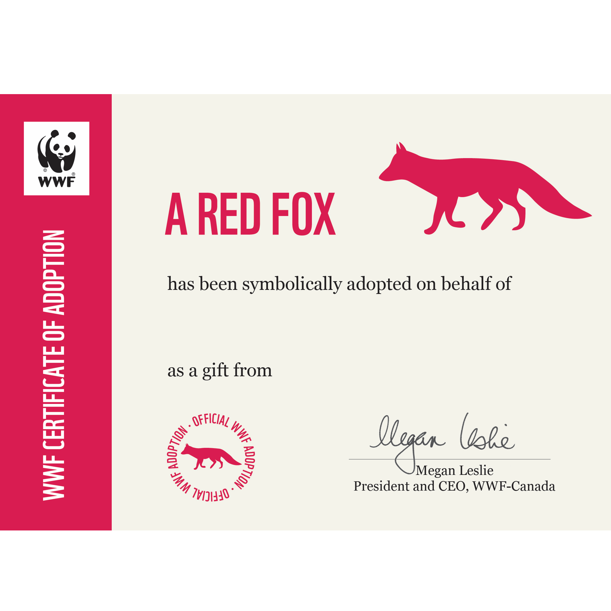 Adopt an Arctic Fox  Symbolic Adoptions from WWF