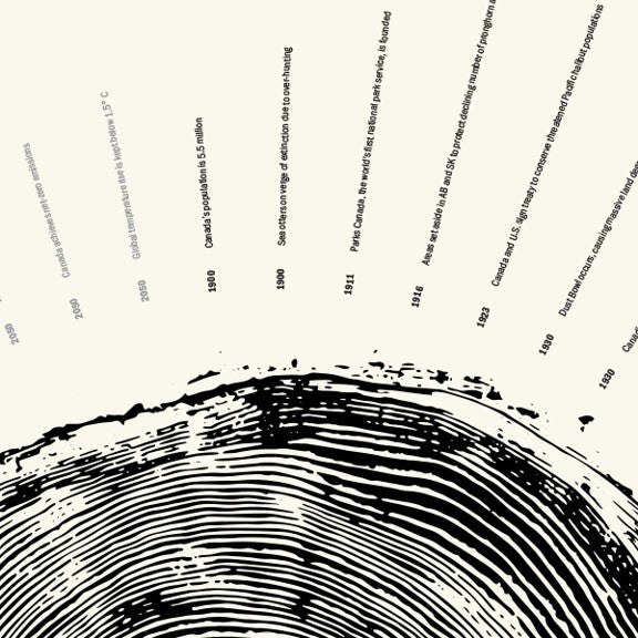 Close up of the upper part of the tree ring design on the Regenerate Canada poster