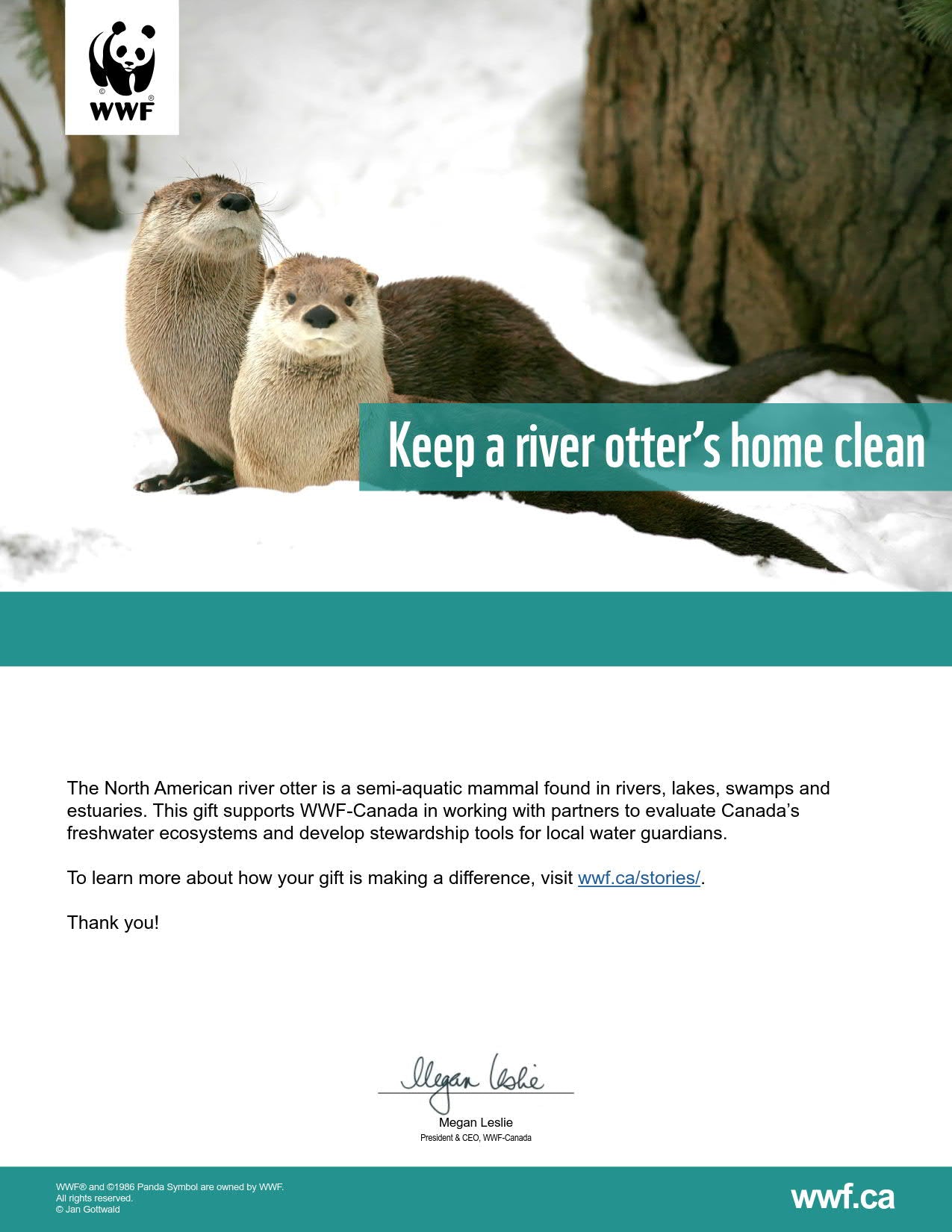 keep a river otter's home clean - WWF-Canada