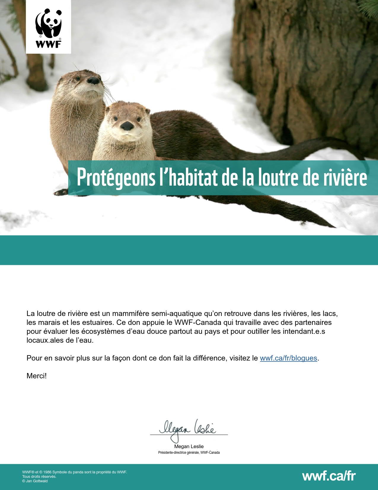 protégeons l’habitat de la loutre de rivière - WWF-Canada