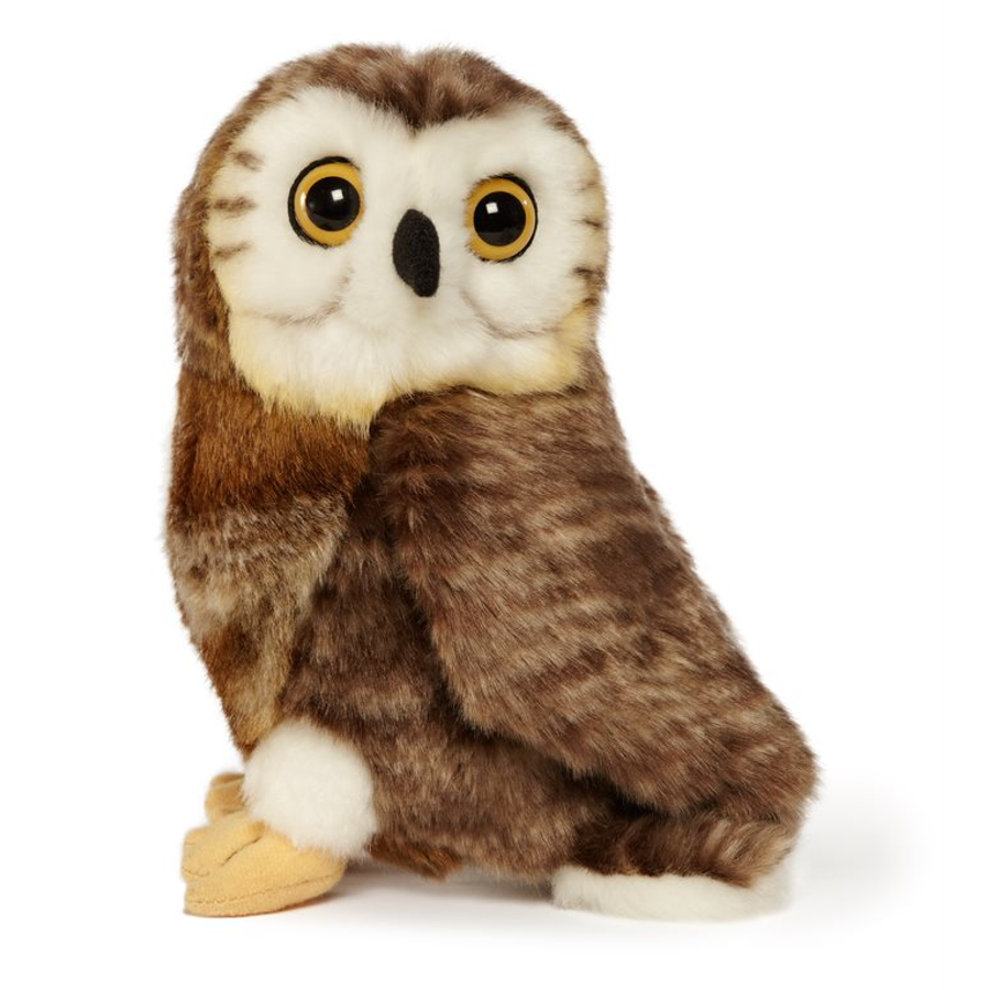 Saw-whet owl plush