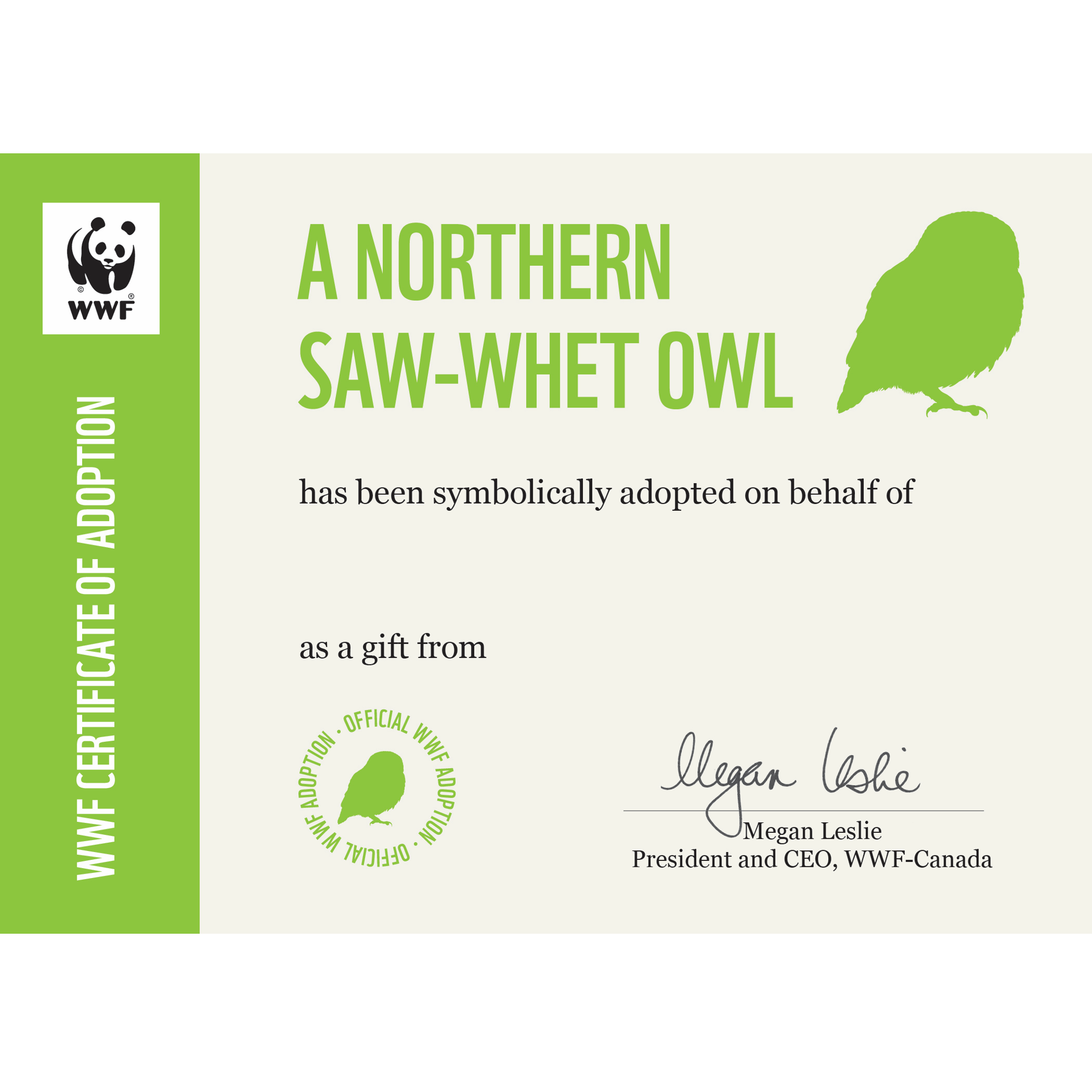 Saw-whet owl - WWF-Canada