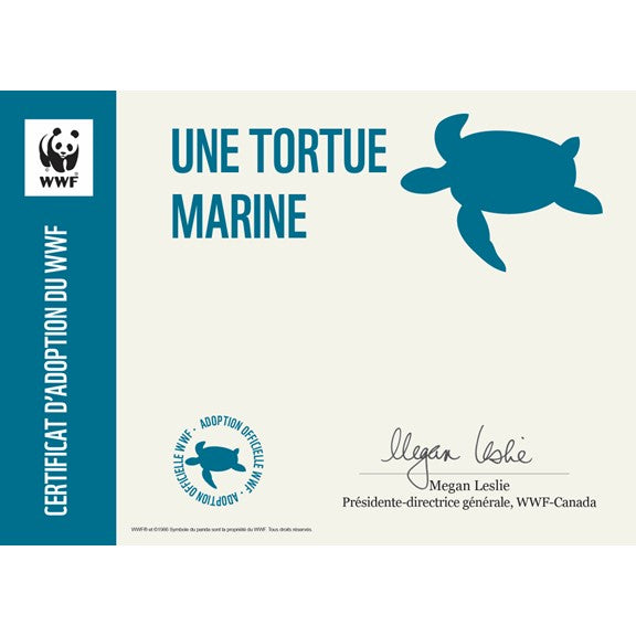 Carte tortue marine - WWF-Canada
