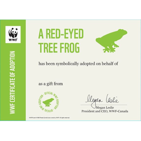 red-eyed tree frog symbolic adoption certificate