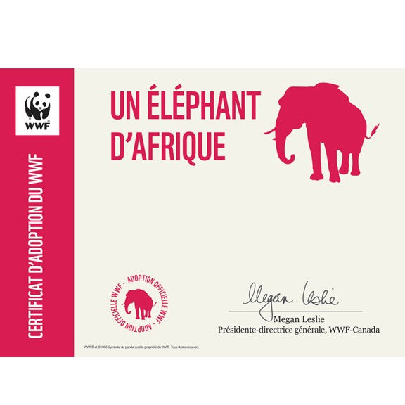 Carte éléphant d’Afrique - WWF-Canada