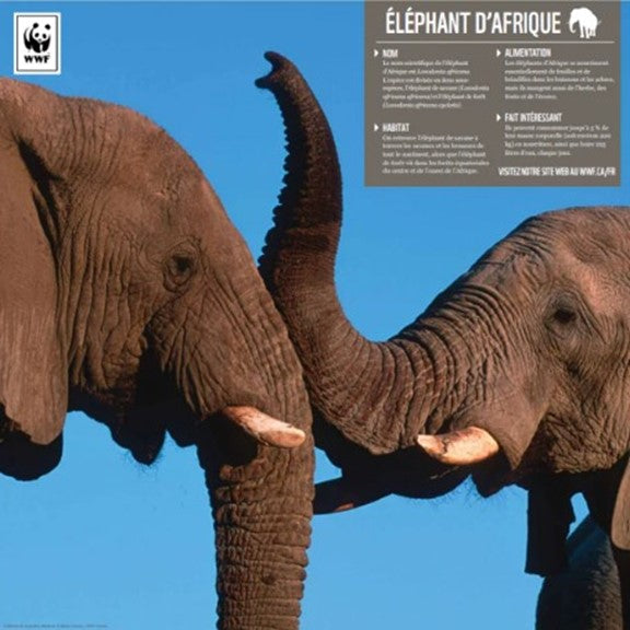 Famille d'éléphants d’Afrique