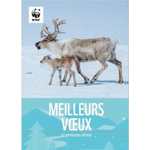 Cartes de souhaits des fêtes - WWF-Canada