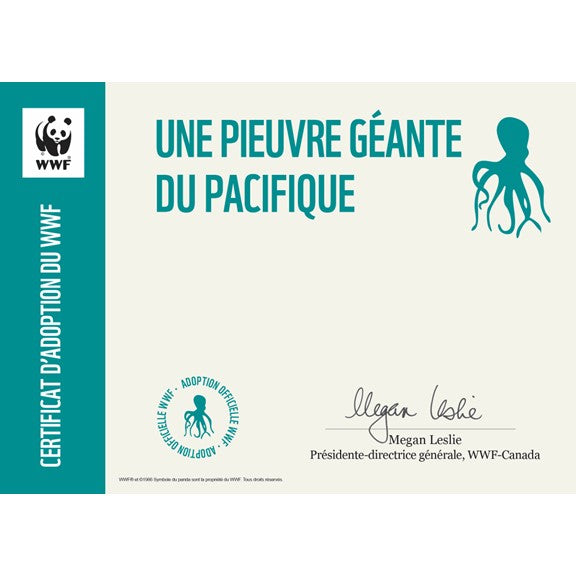 Pieuvre géante du Pacifique - WWF-Canada