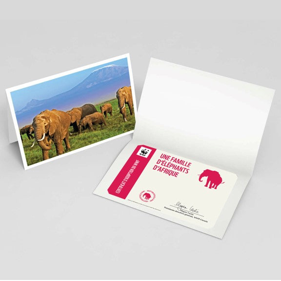 Carte éléphant d’Afrique - WWF-Canada
