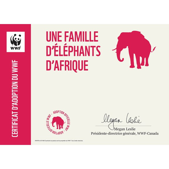 Famille d'éléphants d’Afrique - WWF-Canada