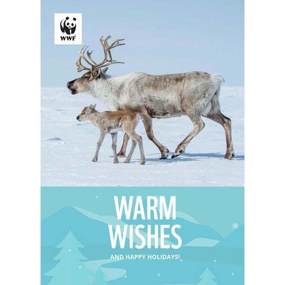 Wildlife holiday greeting cards - WWF-Canada
