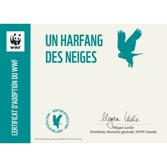 Carte harfang des neiges - WWF-Canada