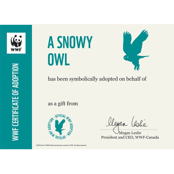 snowy owl symbolic adoption certificate