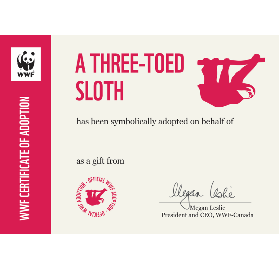 A three-toed sloth symbolic adoption certificate template