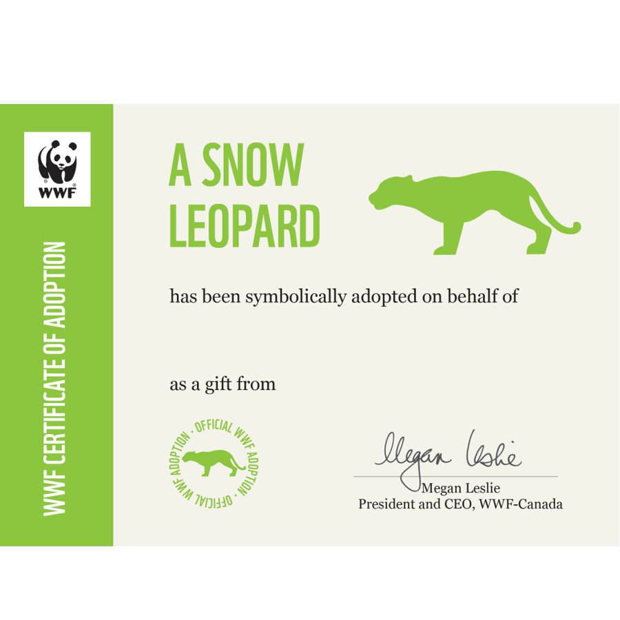 Snow leopard adoption certificate