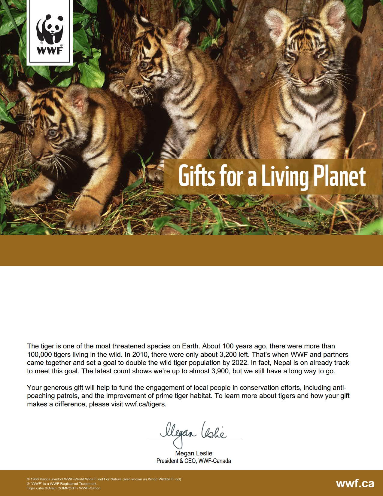 give a tiger a fighting chance - WWF-Canada