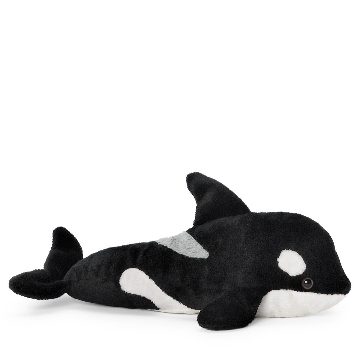 Killer whale deals teddy